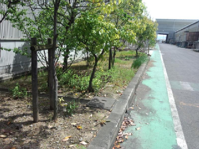 『緑地撤去資材置き場施工工事』堺市